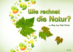 Mag. Ing. Peter Fischer